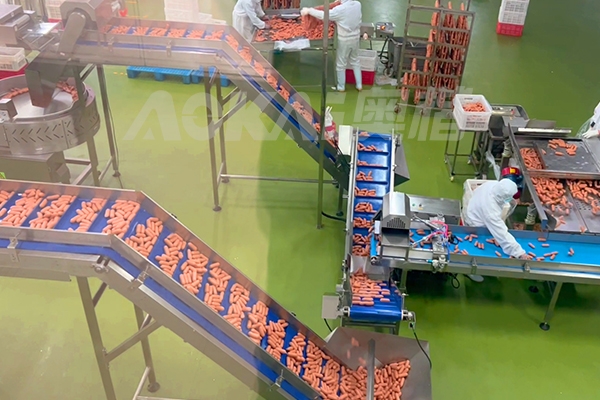 河南大型食品厂烤肠加工项目