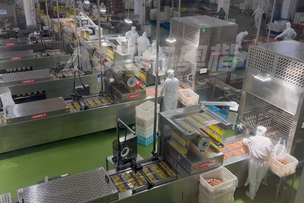 山东大型食品厂奥尔良鸡肉肠加工项目